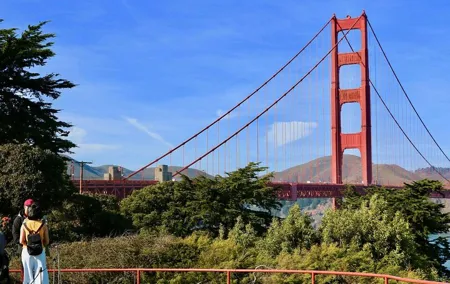 From San Francisco: Muir Woods Tour and Hop-on Hop-off City Tour