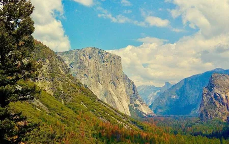 Private Day Tour to Yosemite National Park