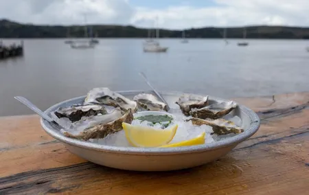 Sonoma Coast Tasting Tour: Cheese, Honey, Oysters, Wine and Oils