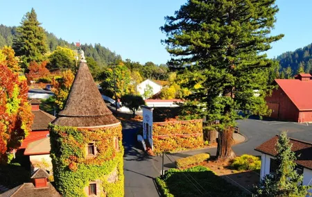 Russian River Valley & Giant Redwoods Private Tour Entrace Fees Included