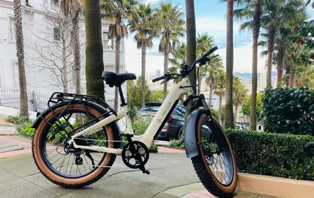 Guided E Bike Tour in San Francisco