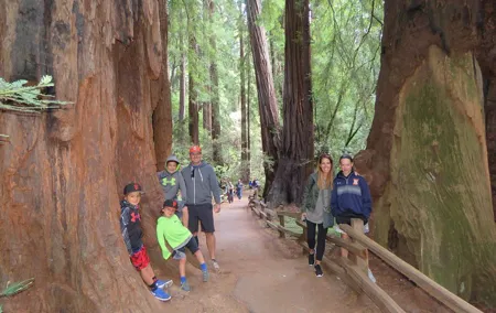 Best San Francisco, Muir Woods & Sausalito Private Combo Tour