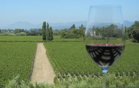 Sonoma and Napa Wine Tour 3 Tastings Included Small-Group Tour