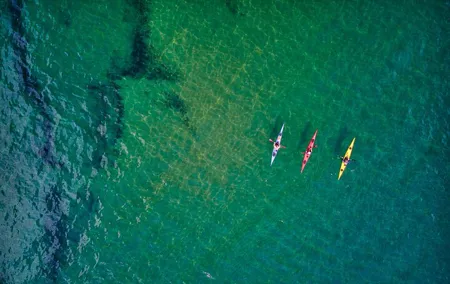 Sick Day Midweek Kayak Tour on Tomales Bay