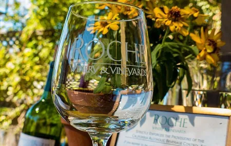 Half-Day Wine Tour Plus Hop-On Hop-Off Bus Pass