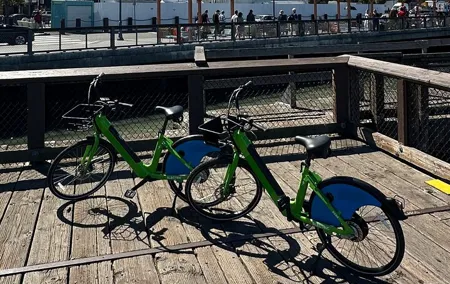 Electric Bike for the Day