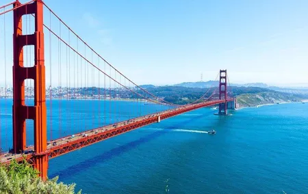 San Francisco private half day tour with driver and guide