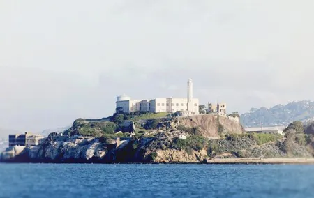 Muir Woods with Napa & Sonoma Wine Tour + Alcatraz Tour & Aquarium Access