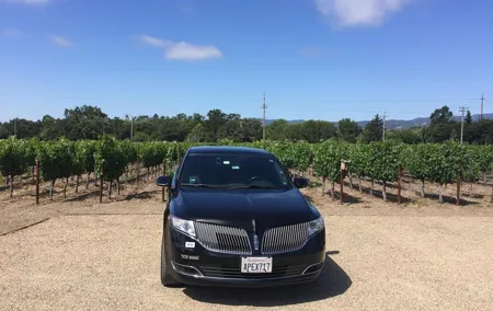8-Hours Napa Wine Tour from SF to Napa CA , Sedan up to 2 People