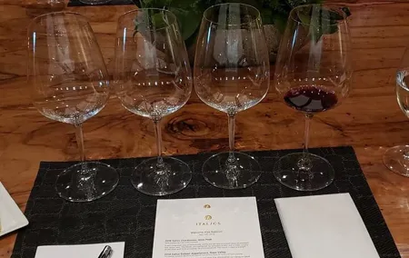 6-Hour Wine Country Tour from San Francisco