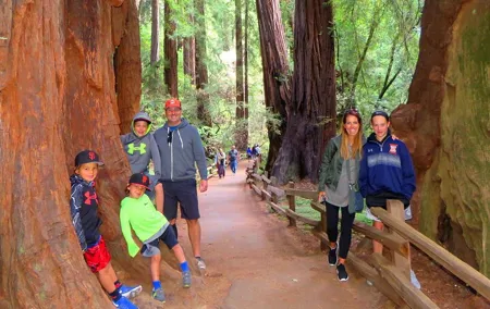 Muir Woods and California Wine Country 8 Hour Private Tour