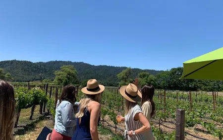 Wine Tour Pros - Napa Wine Tour: SUV Up To 6 Guests