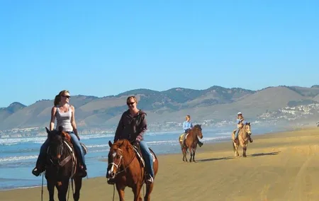 Private Redwoods Tour & Horseback Riding Experience