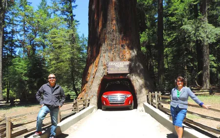 Avenue of the Giants Redwoods private 2-day tour +1 night hotel