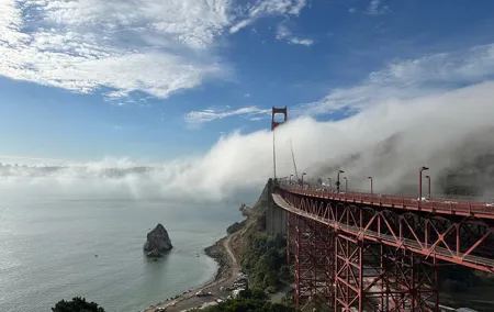 Muir Woods and Sausalito Tour 5 Hours of Natural Beauty