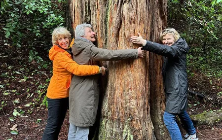 Private Muir Woods Tour Via Luxury Tesla