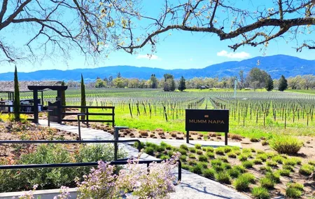Sonoma and Napa Champagne Wine Private Tour Half Day