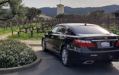 6 Hour Sonoma Wine Tasting Tour from San Francisco