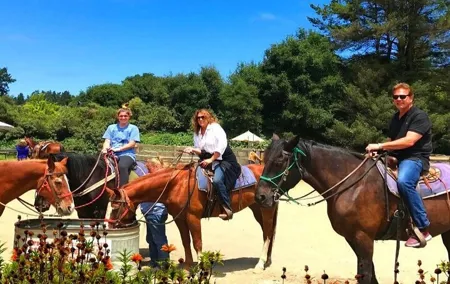 Private Horseback Riding and Muir Woods Adventure from San Francisco