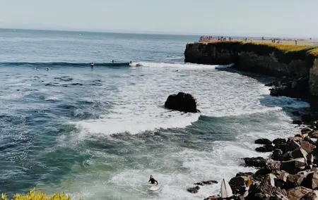 San Francisco to Santa Cruz Day Trip: Redwoods and Beach Fun