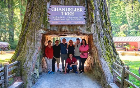 Avenue of the Giant Redwood Private 1 day Tour from San Francisco