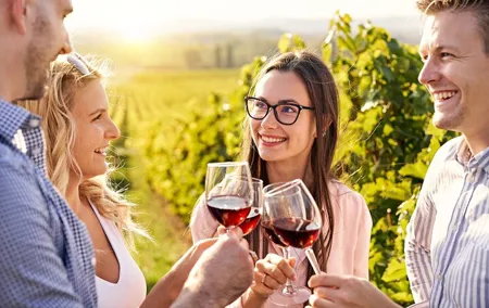 Napa and Sonoma Full-Day Wine Tour from San Francisco