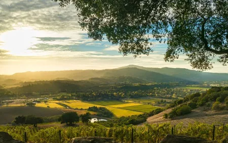 Day Private Russian River Valley Wine Tour from San Francisco