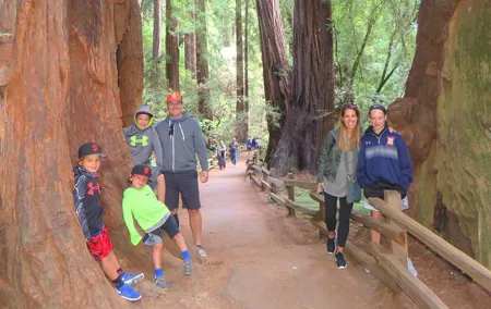 Half-Day Private Tour of Alcatraz , Muir Woods & Sausalito