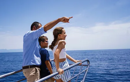 Dolphin Sightseeing Boat Tour from Benalmadena