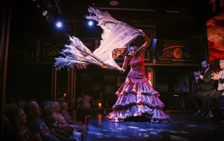 Authentic Flamenco Show at the Málaga Club Flamenco Theatre