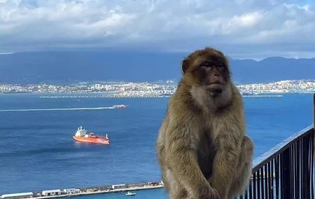 Gibraltar Private Daytrip From Malaga