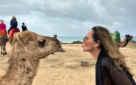 Vip Full Day Private Tangier Tour From Malaga All Inclusive