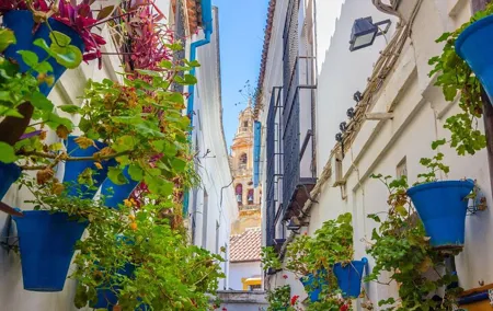 Excursion to Córdoba from Malaga