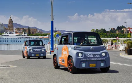 Malaga Highlights by Electric Car with Port Pick up
