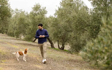 OLIVE OIL & WINE TOUR - Organic Fields 5 Wines + 3 Olive Oils