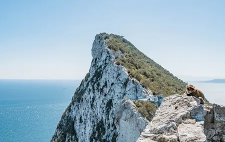 From Malaga, Gibraltar excursion with transport