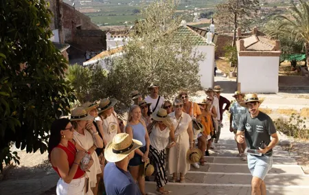 Málaga Small‑Group Wine Tour – Álora Castle Views & 4 Tastings