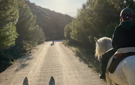 Malaga - guided horseback riding