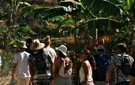 Guided Tour to the only coffee farm in Europe