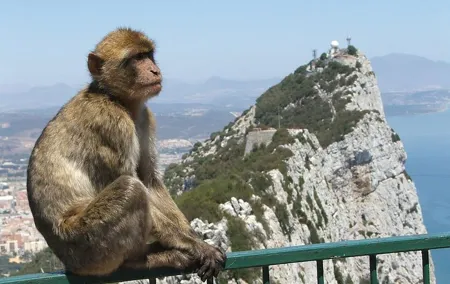 From Costa del Sol: The Gibraltar classic Rock tour