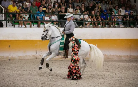 Andalusian Horses and Flamenco show with transportation