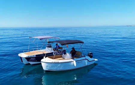 Private boat rental without title dolphin watching