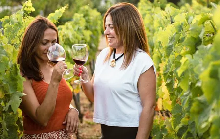Mijas Organic Vineyard: Exclusive Sunset Wine & OliveOil Tasting
