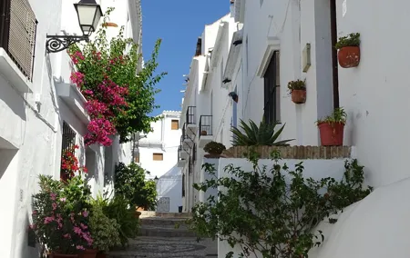 Guided Walking Tour of the Old Town of Frigiliana