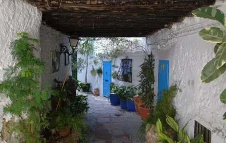 Private walking tour around the Old Town of Frigiliana