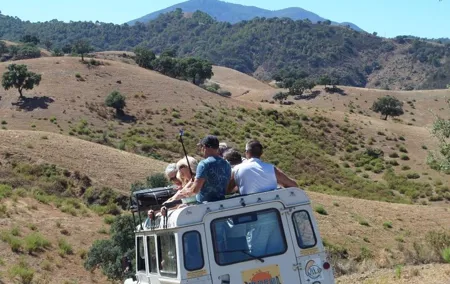 Authentic Andalusia - Jeep Eco Tour (pick up from Marbella - Estepona)