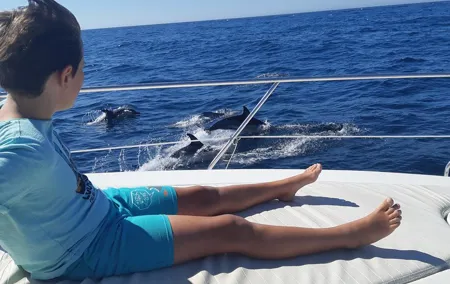 2 Hours Dolphin Watching in Marbella