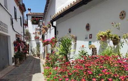 Private half-day tour of Ronda and the White Villages with native