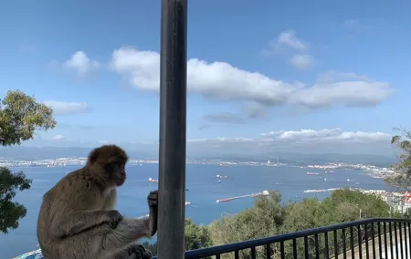Guided Tour of Gibraltar from the Costa del Sol