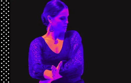 Benalmádena, Arroyo de la Miel: 1-Hour Flamenco Dance Class